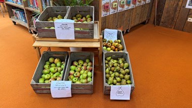Appels met (stoof)peren vergelijken!